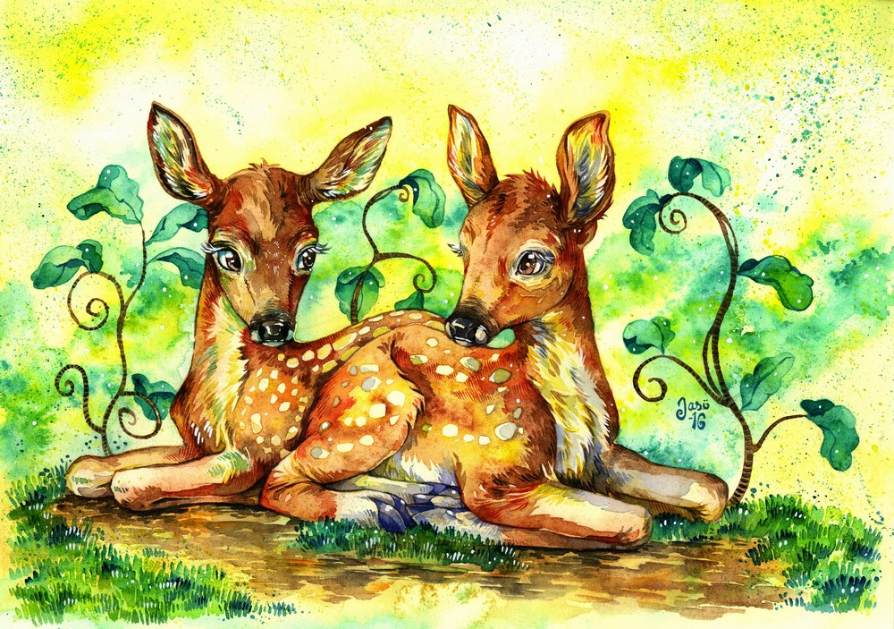 Print - Fawns